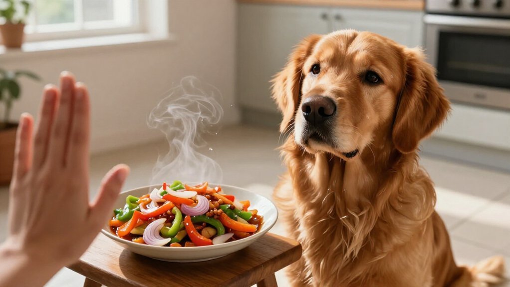 stir fry danger dog symptoms